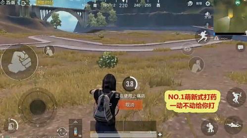 91欧美无掩体视频